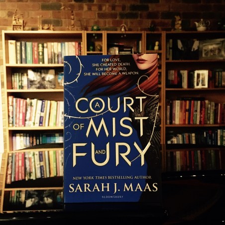 a court of thorns and roses